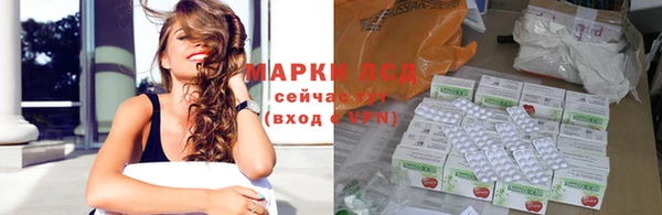 крисы Осинники