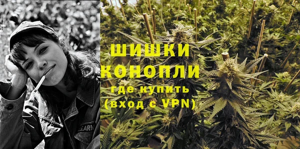 МДПВ Осташков